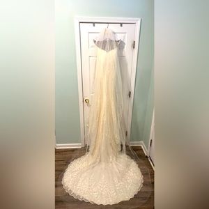 Designer Pronovias Barcelona Recova Wedding Gown; US Size 2/4